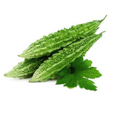 Karela / Bitter Gourd / Paavakkai Veg 400g - Shaalis.com